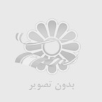 حسن سعیدی